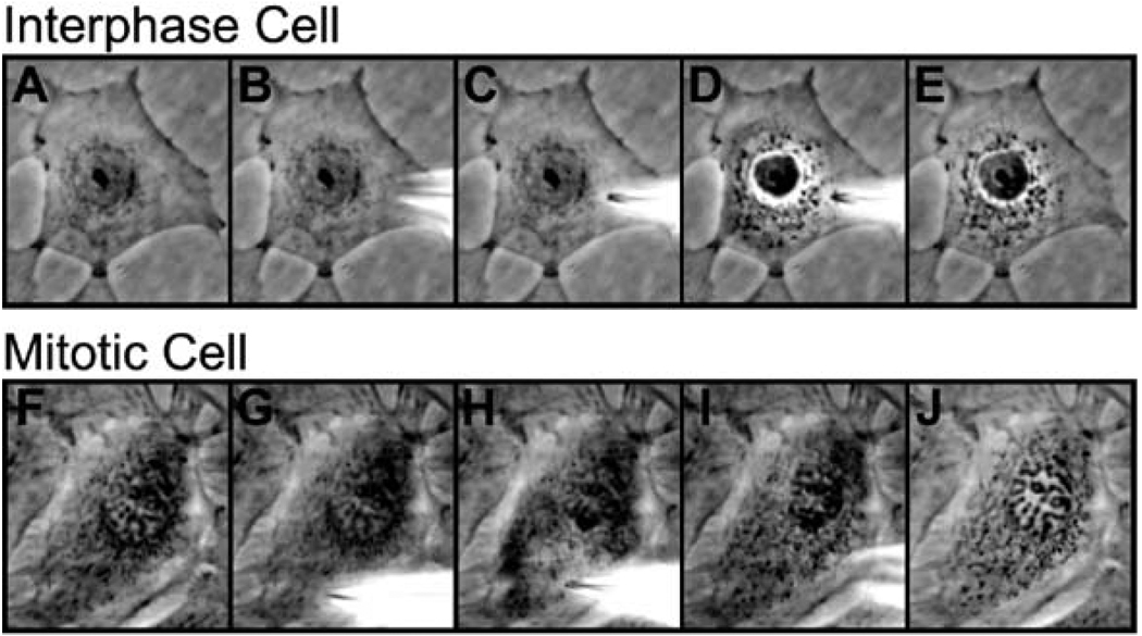 Fig. 7.3