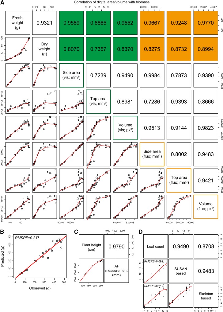 Figure 5.