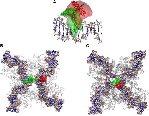 Figure 7