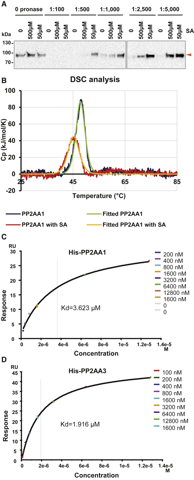 Figure 6