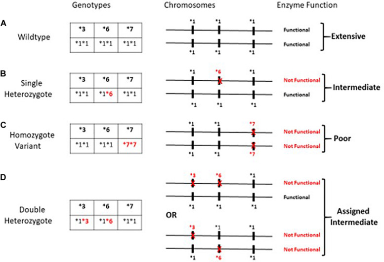 FIGURE 1