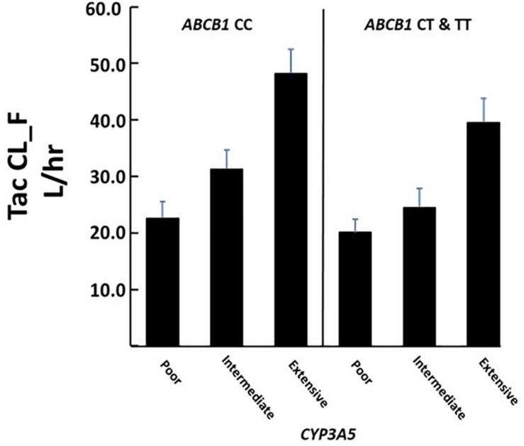 FIGURE 4