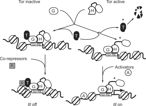 Figure 7.