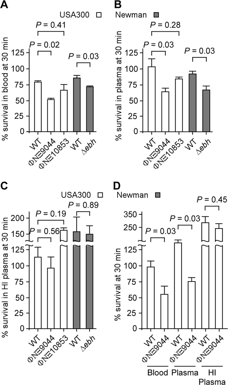 FIG 6