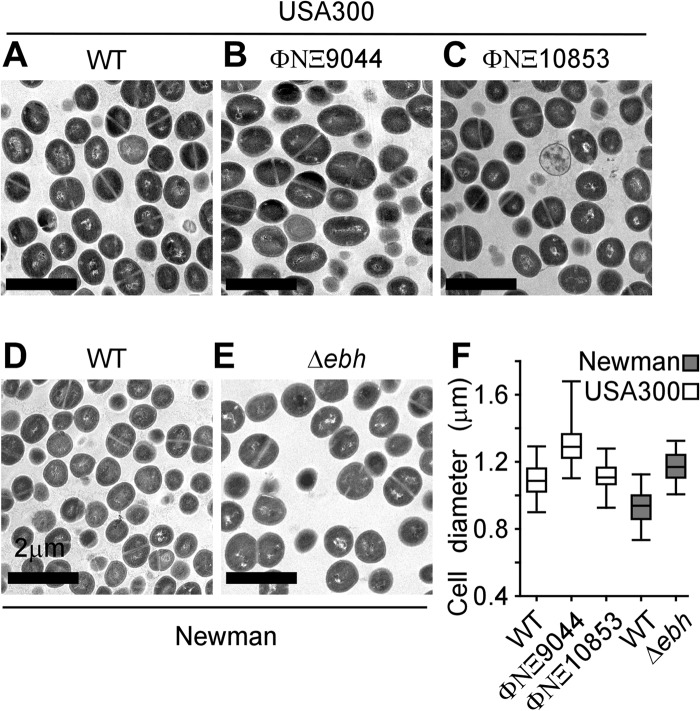 FIG 4