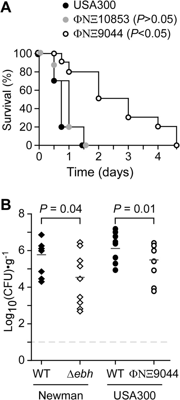 FIG 8