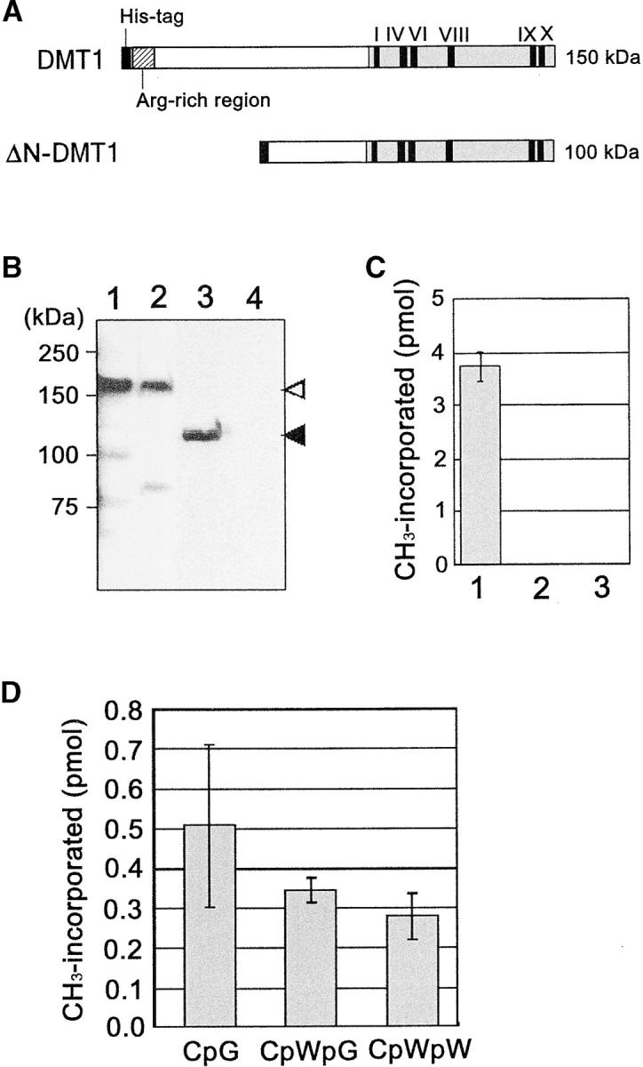 Figure 1.—