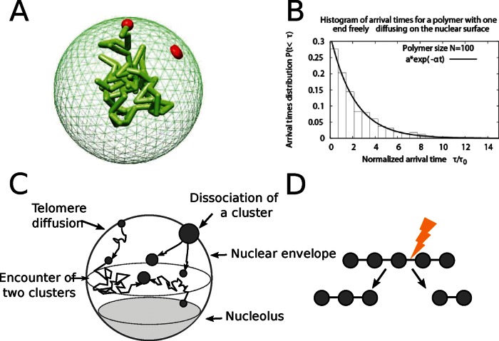 FIGURE 2: