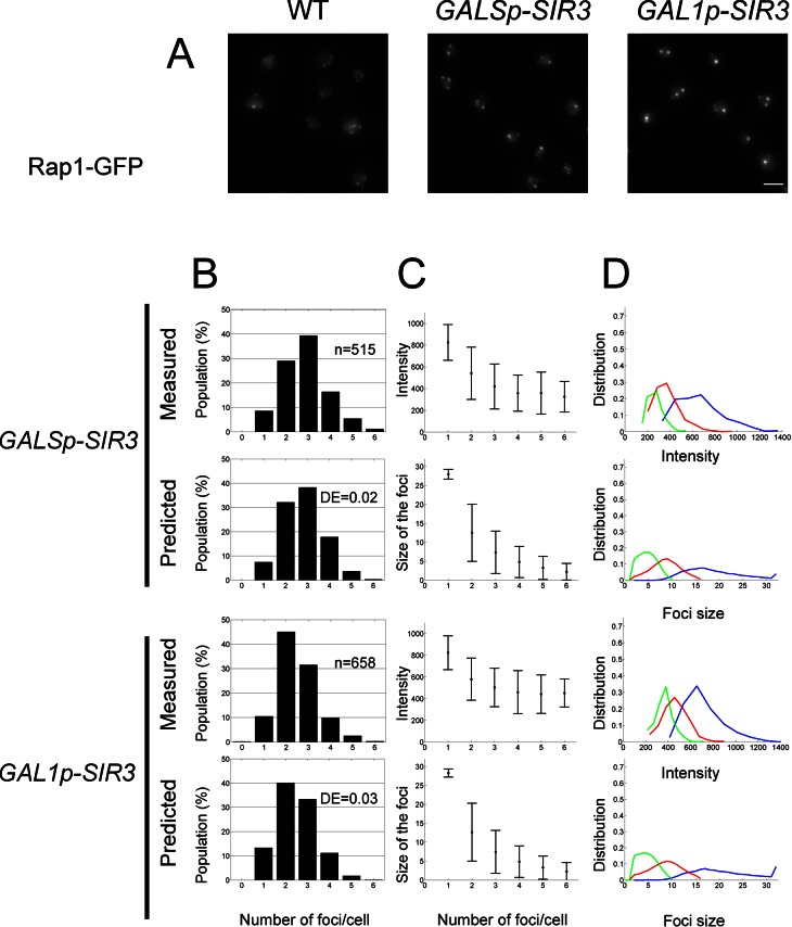 FIGURE 4: