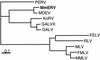 FIG. 1