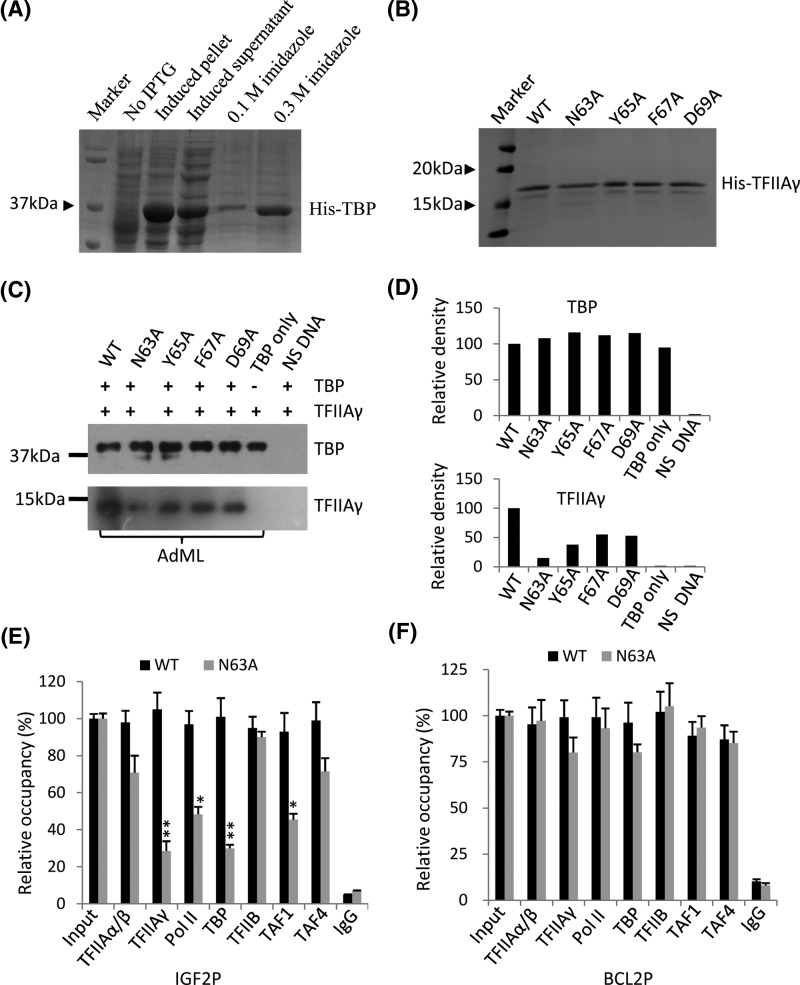 Figure 5