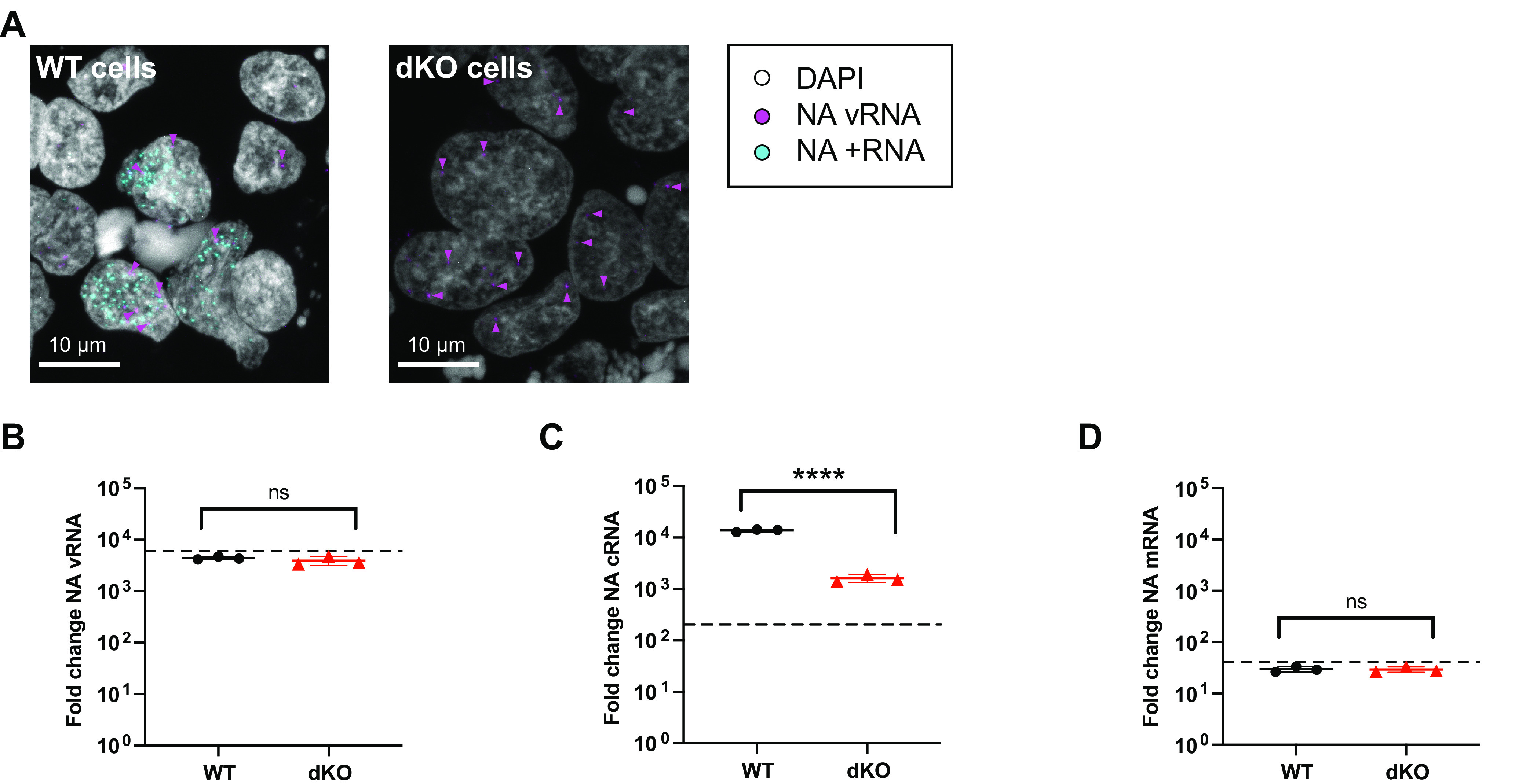 FIG 3