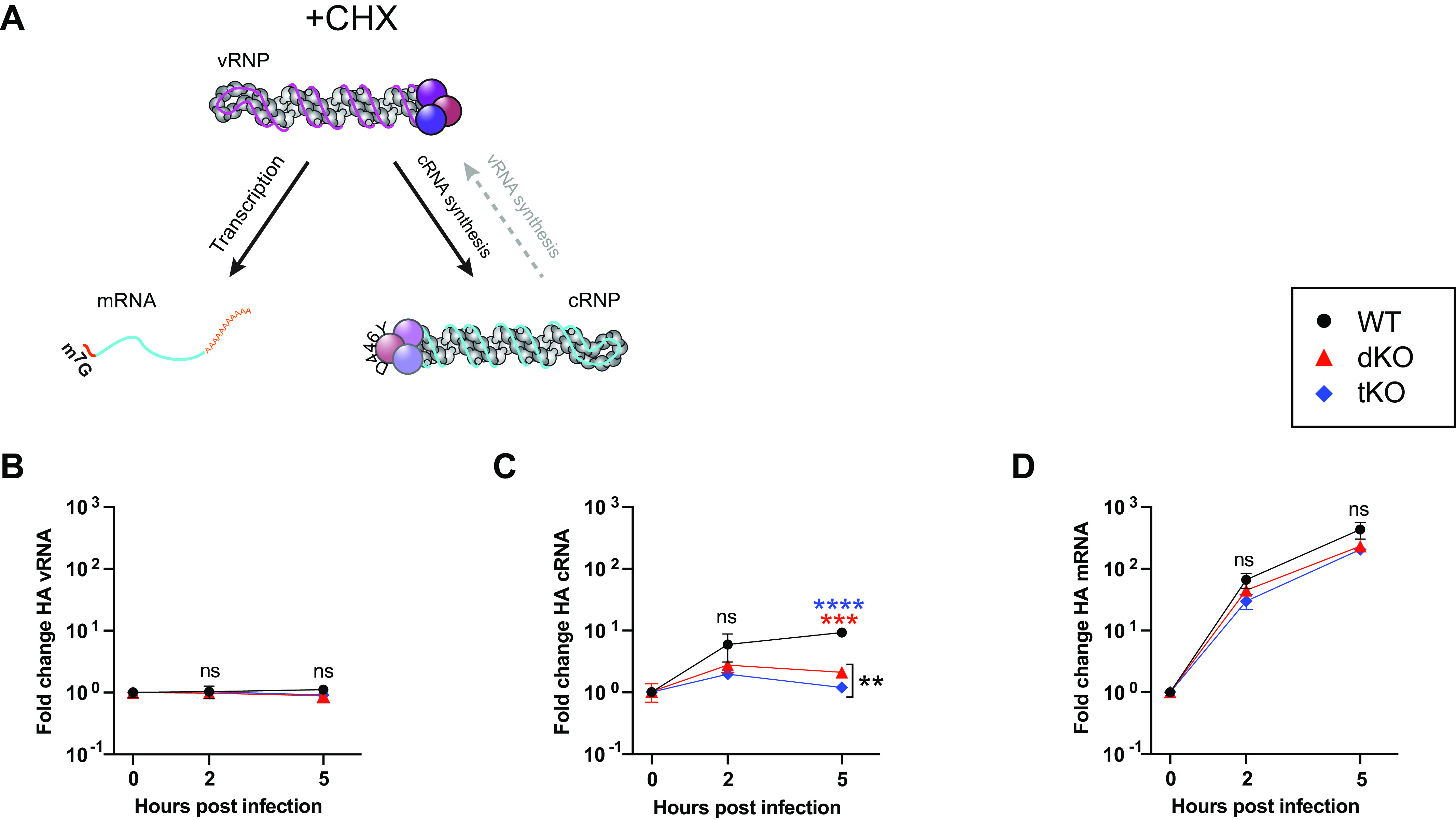 FIG 4