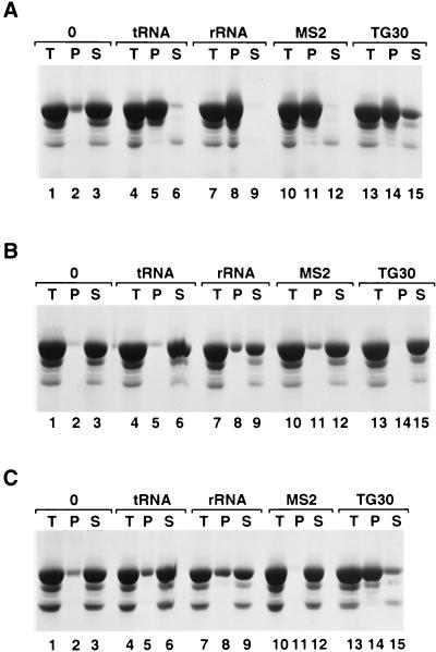 FIG. 6