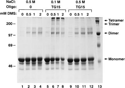 FIG. 7