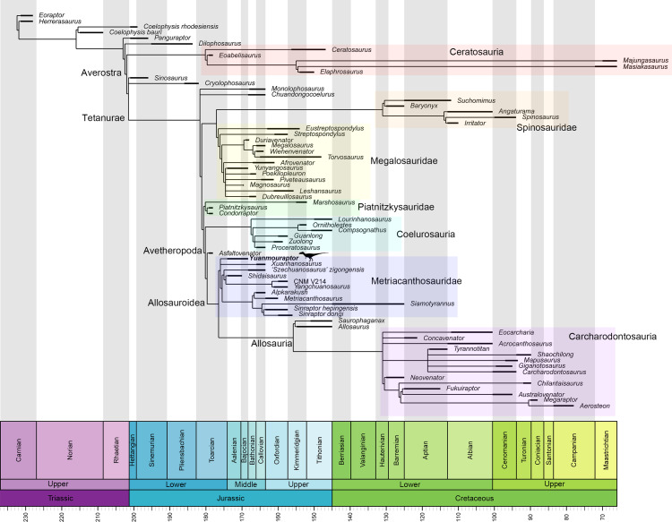 Figure 17