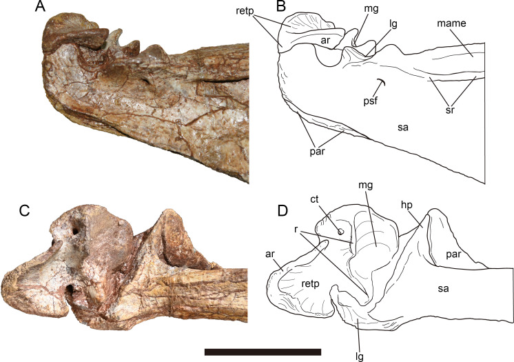 Figure 13