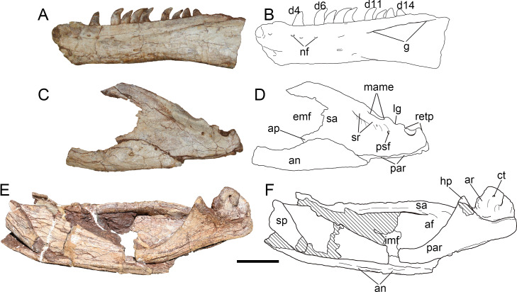 Figure 12