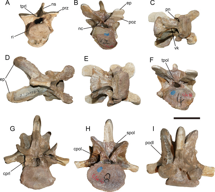 Figure 16