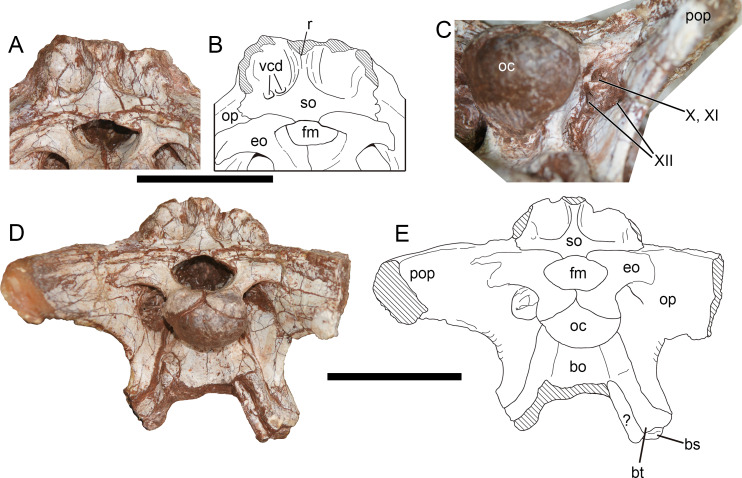 Figure 10
