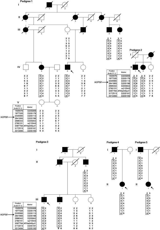 Figure 1