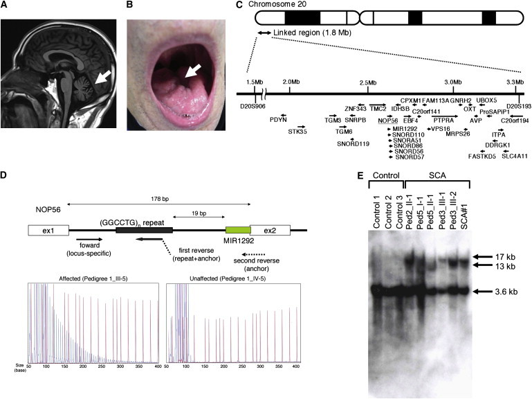 Figure 2