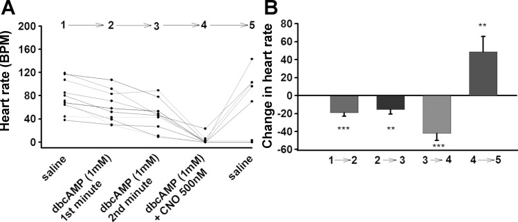 Fig. 12.