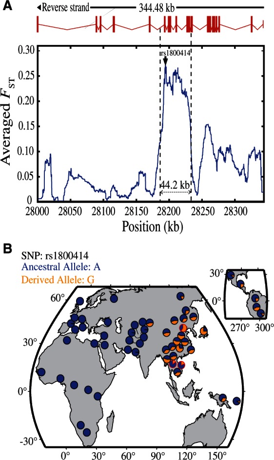 Fig. 2.