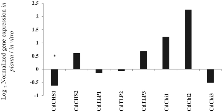 Figure 5.