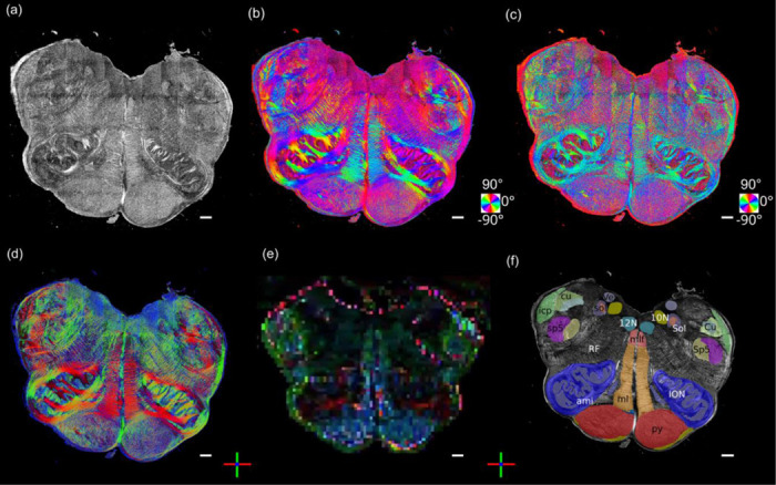 Fig. 7