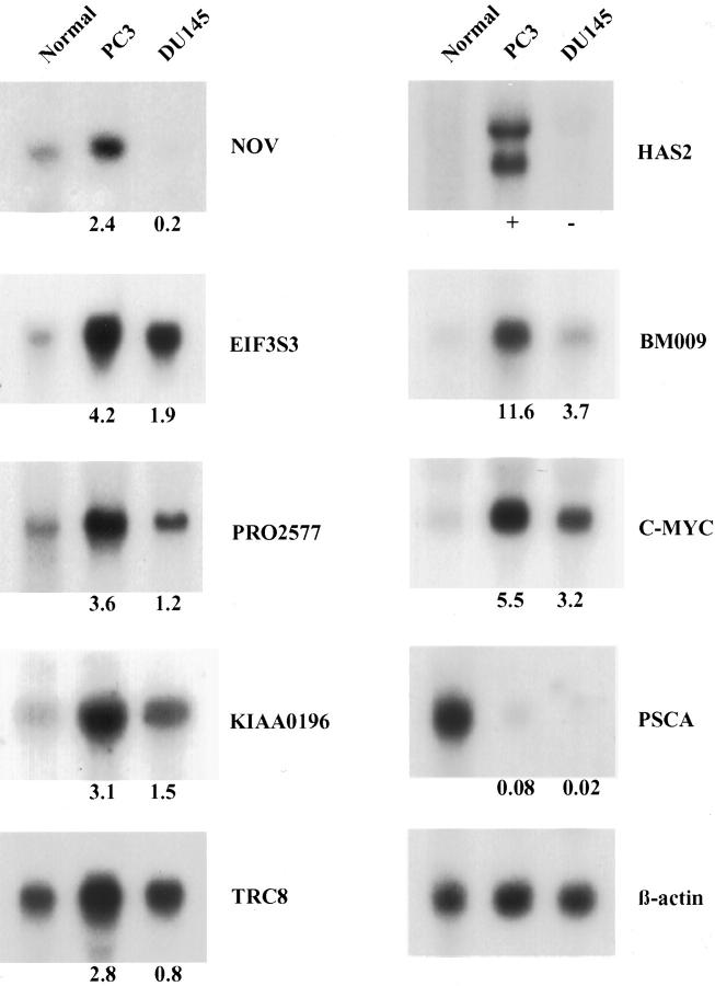 Figure 3.