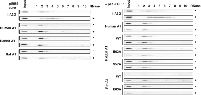 Figure 10.