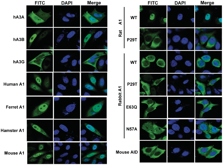 Figure 6.