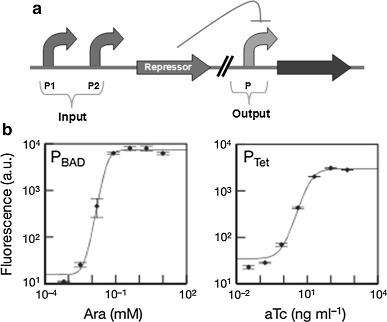 Fig. 4