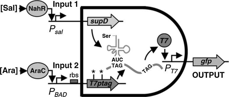 Fig. 2