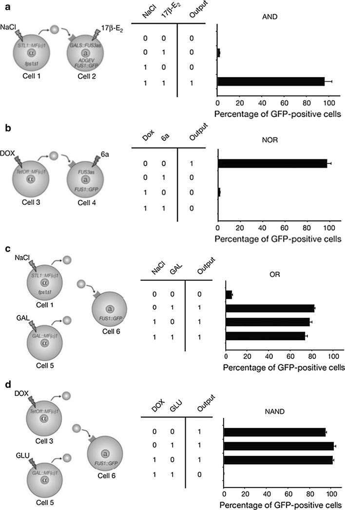 Fig. 7