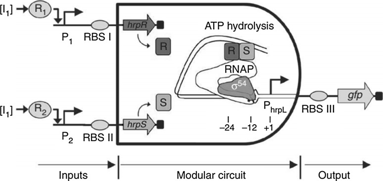 Fig. 1