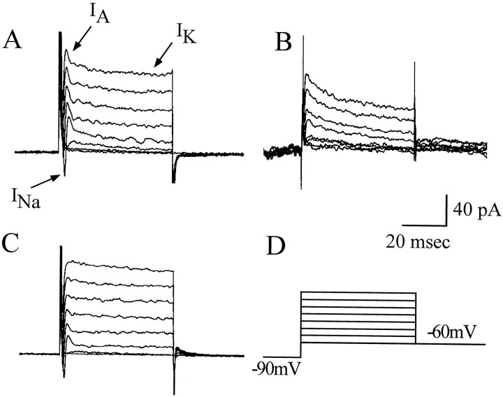 Fig. 1.