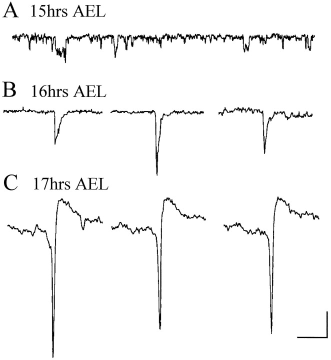 Fig. 8.