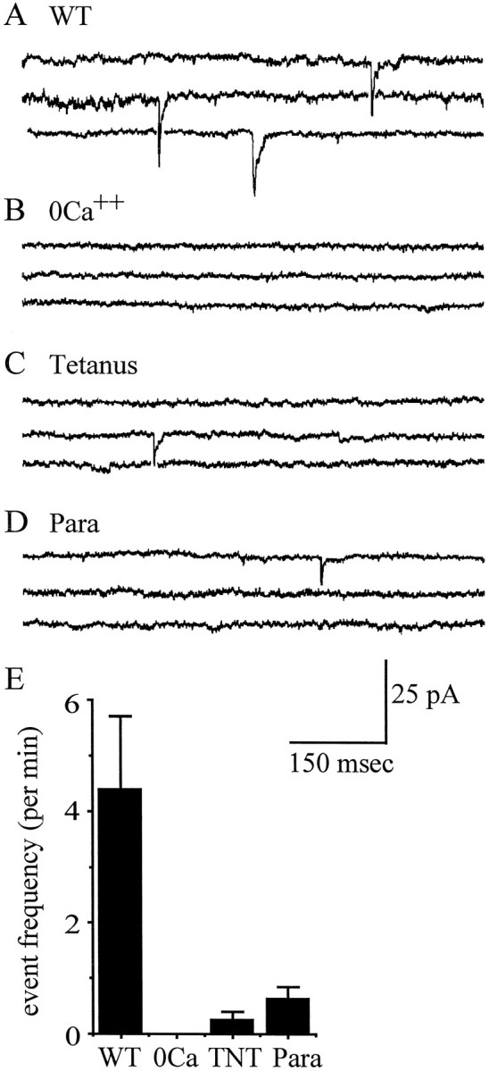 Fig. 9.