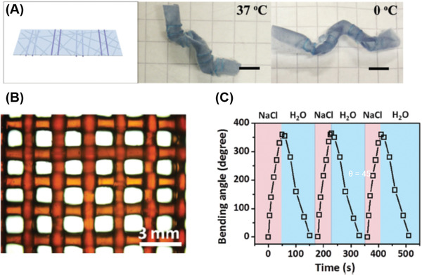 Figure 10