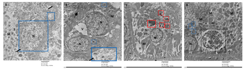 Figure 9