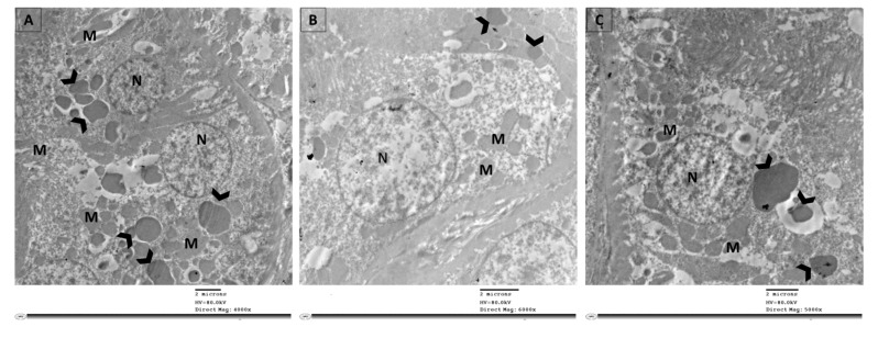 Figure 7