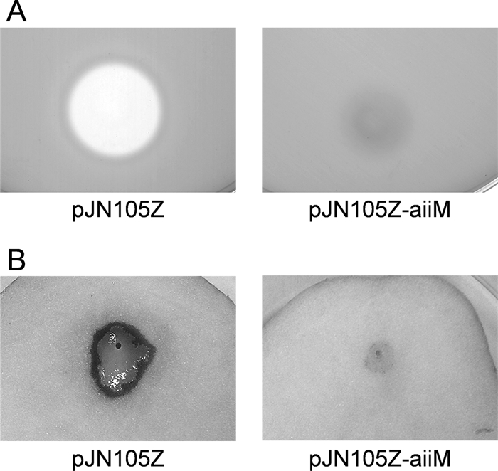 FIG. 6.