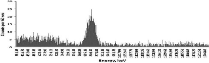 Fig. 4