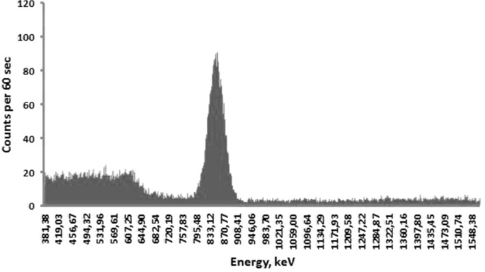 Fig. 3