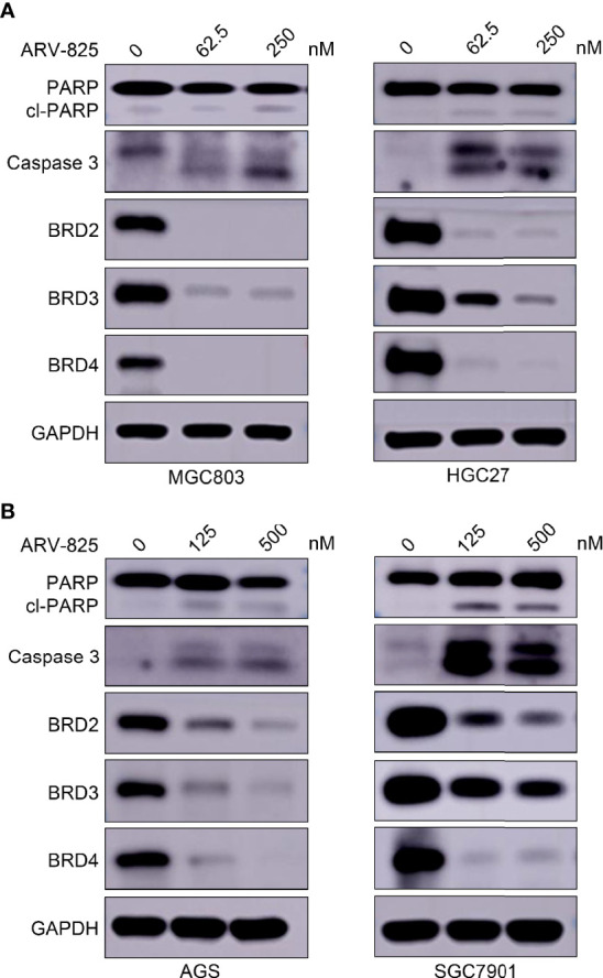 Figure 6