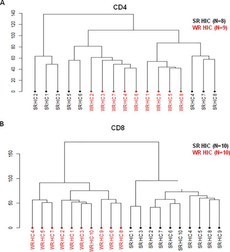 FIG 6