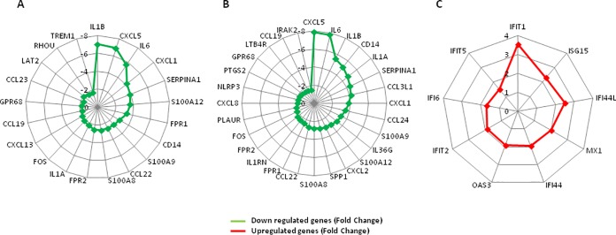 FIG 2