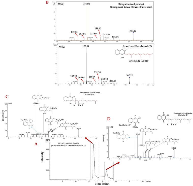 Figure 7